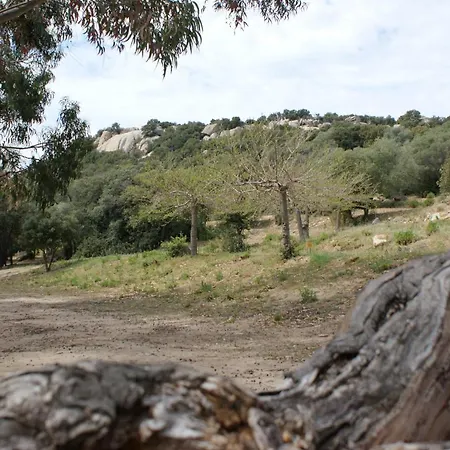 Belle Location Sur Avec Vue Remarquable Et Jardin Lumio (Corsica)