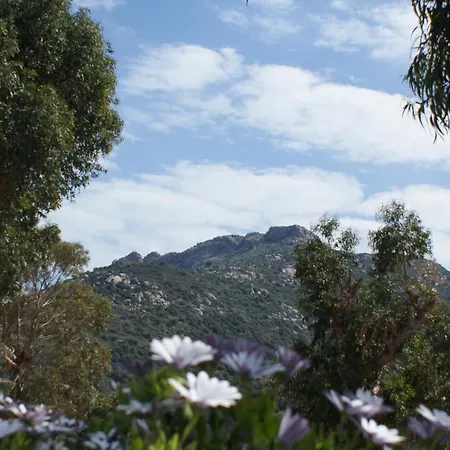 Belle Location Sur Avec Vue Remarquable Et Jardin Lumio (Corsica)