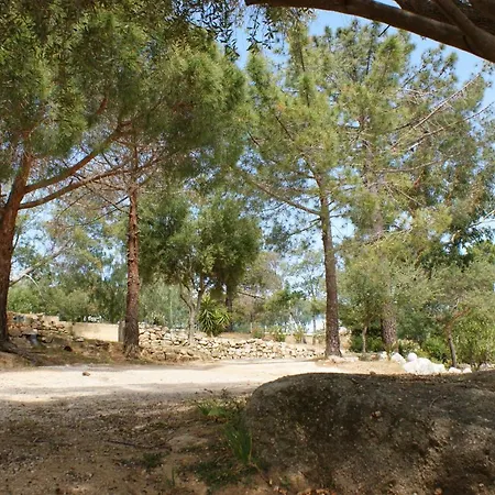 Belle Location Sur Avec Vue Remarquable Et Jardin