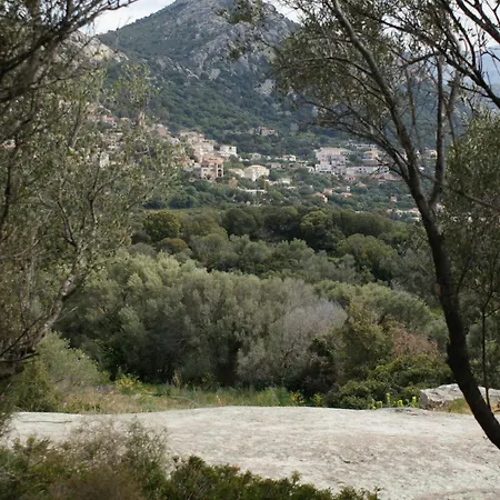 Chalet Belle Location Sur Avec Vue Remarquable Et Jardin *