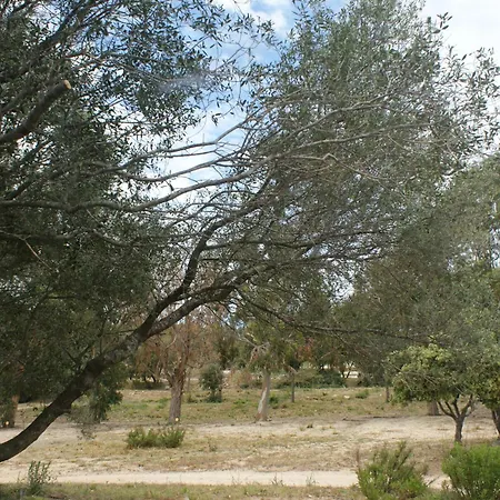 Belle Location Sur Avec Vue Remarquable Et Jardin Lumio (Corsica)