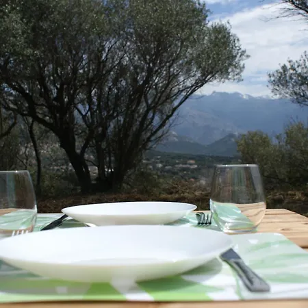 Belle Location Sur Avec Vue Remarquable Et Jardin