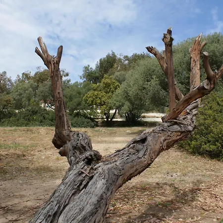 Belle Location Sur Avec Vue Remarquable Et Jardin * Lumio (Corsica)