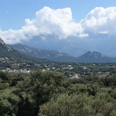 Belle Location Sur Avec Vue Remarquable Et Jardin Chalet *
